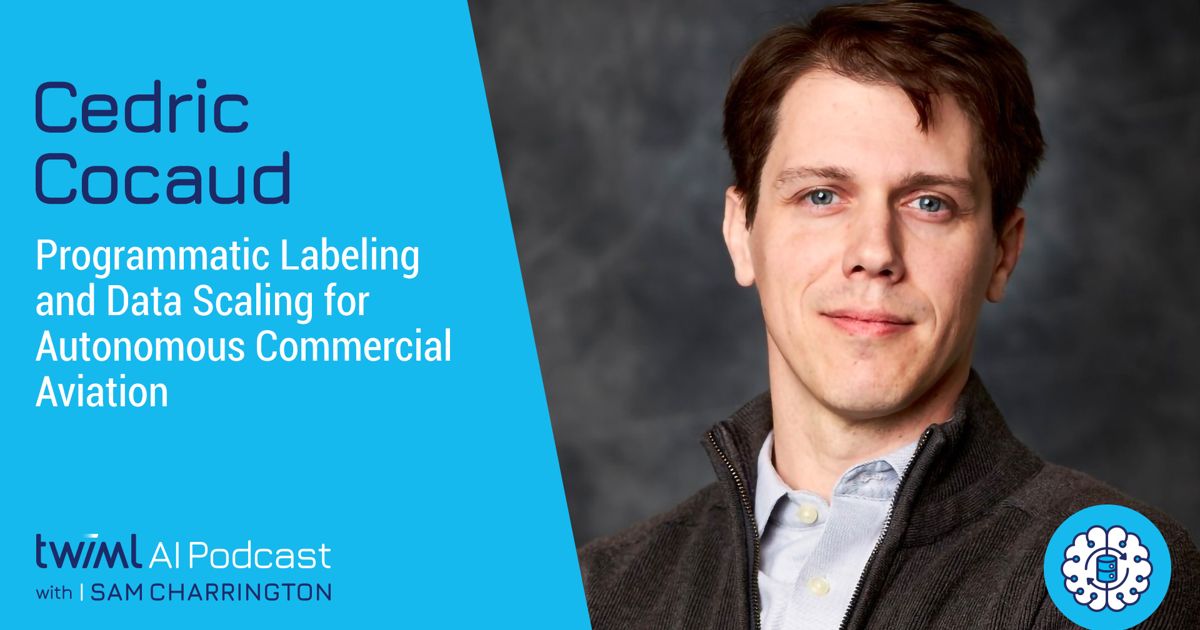 Programmatic Labeling and Weak Supervision for Autonomous Commercial ...
