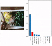 OpenAI Adversarial Attack