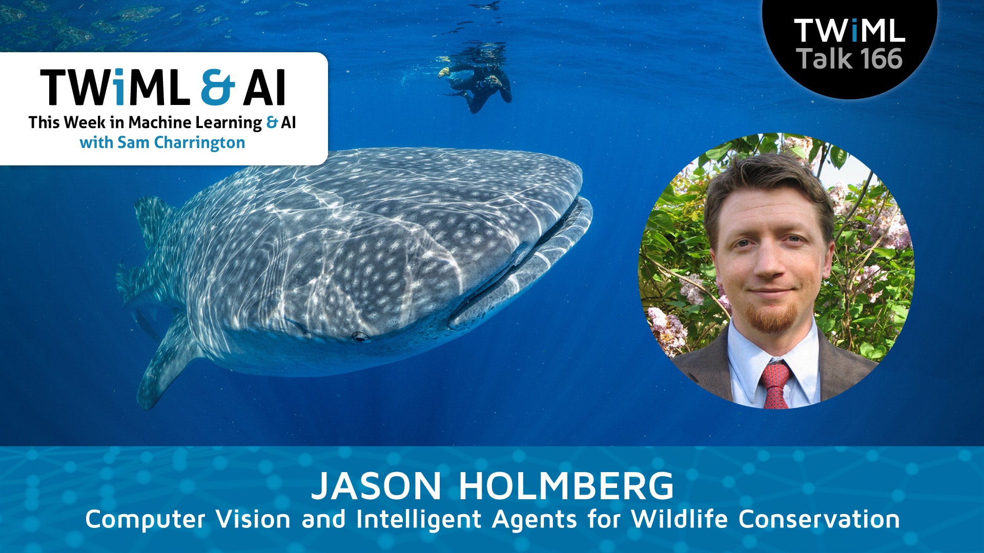 Banner Image: Jason Holmberg - Podcast Interview