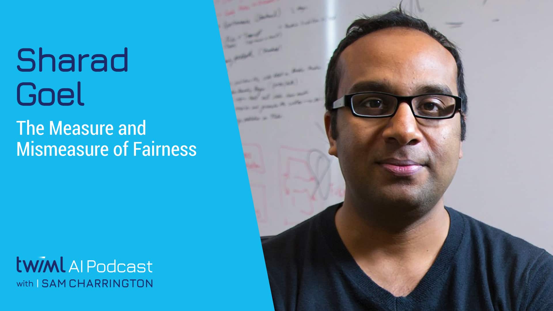 Banner Image: Sharad Goel - Podcast Interview